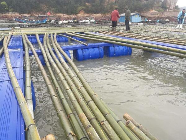 Dock Pontoon Floating Fish Cage Harvesting Machinery Type For Fishing Auxiliary Machinery