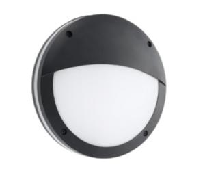 High Power 30W LED Wall Mounted Bulkhead Light IP54 Corridor Ceiling Light