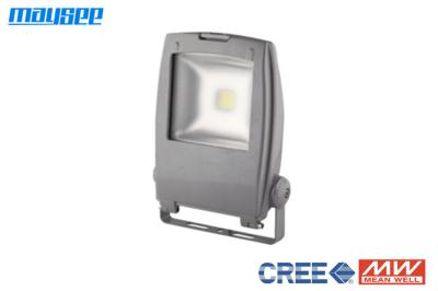 Epistar COB Chip 10W RGB Luz de inundação IP65 ao ar livre para Iluminação de paisagem