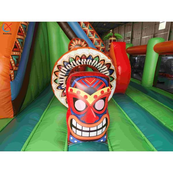 Inflatble Exotic Bouncy House With Internal Slide Combo Jumping Castle