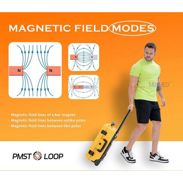 Магнетотерапия Pemf Loop Mat Терагерцевое магнитное устройство