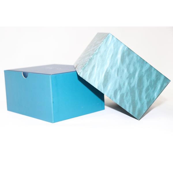 Luxury Faux Suede PU Leather Watch Box for Customized Logo and Express Shipping