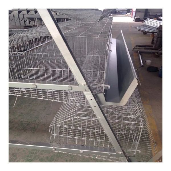 Corrosion Resistant Broiler Cage System with Automatic Feeding for High Density Poultry Farm Equipment