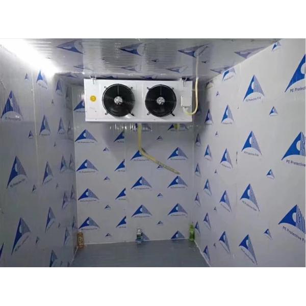 Promotional Cold Room Beef / Chicken / Fish Storage Walk In Freezer