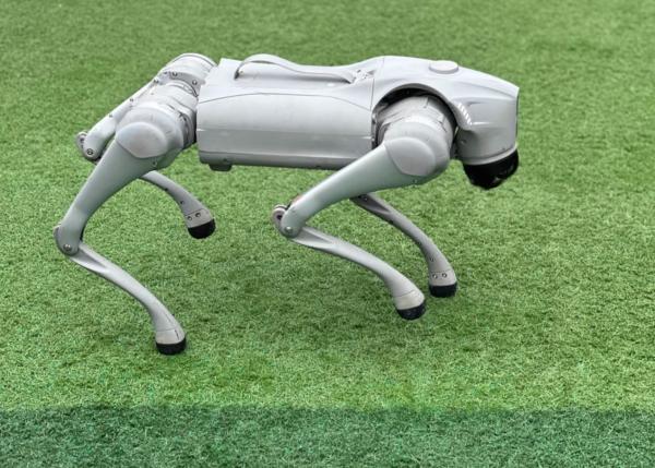 Meet Your Perfect Companion Voice AI Large Model Robot Dog Compatible with Android and iOS