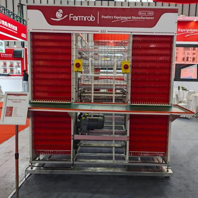 Reliable Operation Layer Chicken Cage System in Indonesia