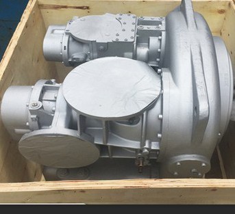 SKF нося мужчины конца воздуха компрессора воздуха винта и женского роторного