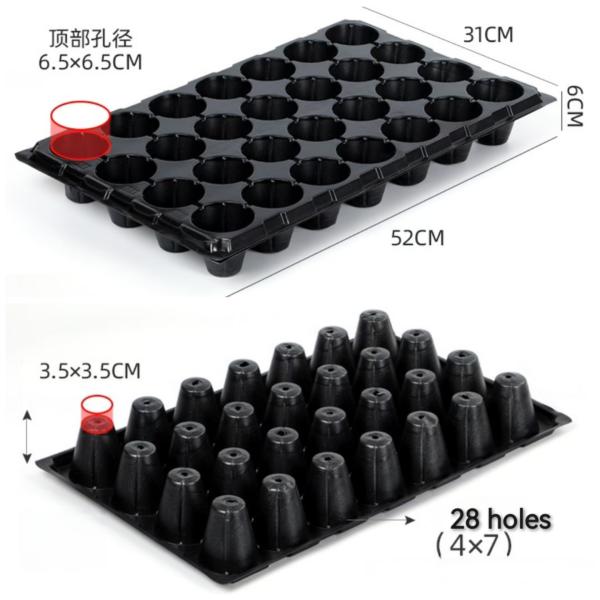 28 Hole Black Agriculture Plastic Trays Aging Resistance For Planting Vegetable