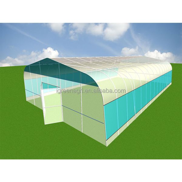 Durable Poly Small Agricultural Greenhouse Tunnel Roses Professional Flower Growing UV-Resistant PE Film Cover Ventilation