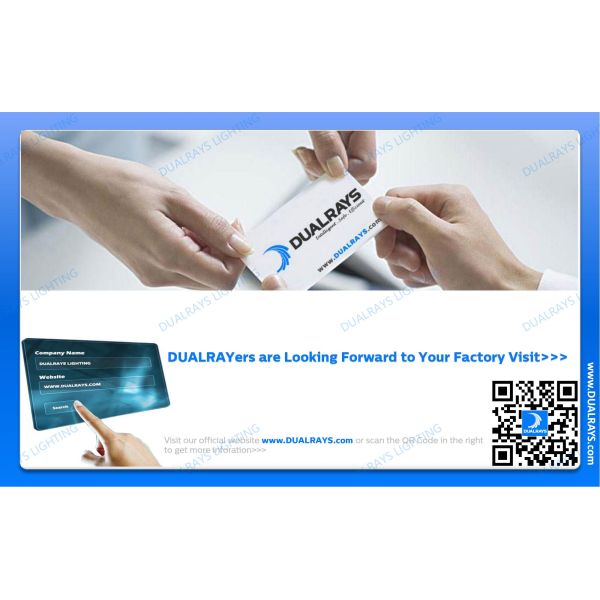 DUALRAYS Europe Stocking LED Highbay Light Dispatched Directly from Netherlands within 3 Business Days and Local After Sales Service