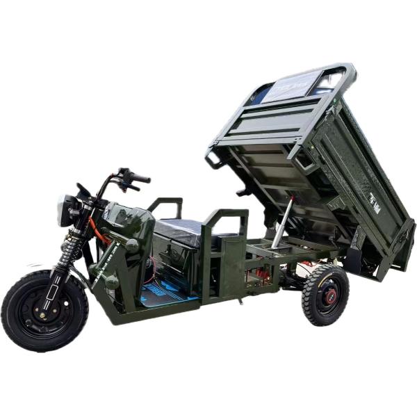 1000 Вт Электрические трехколесные велосипеды Грузовой грузовик Саморазрядный трехколесный мотоцикл для взрослых
