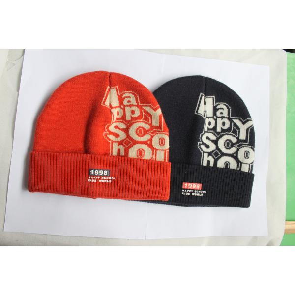 OEM Pantone Color Acrylic Mens Slouchy Beanie Hats For Winter