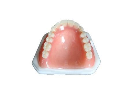 Removable All Acrylic Partial Denture Natural Looking Easy To Maintain