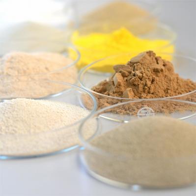 industrial paper enzyme,Degrade Xylan In Pulp Increase Pulp Matrix Gap Separate Lignin