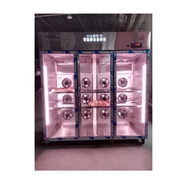 Timer Freeze Thaw Chamber Cabinet with Automatic Defrosting Method