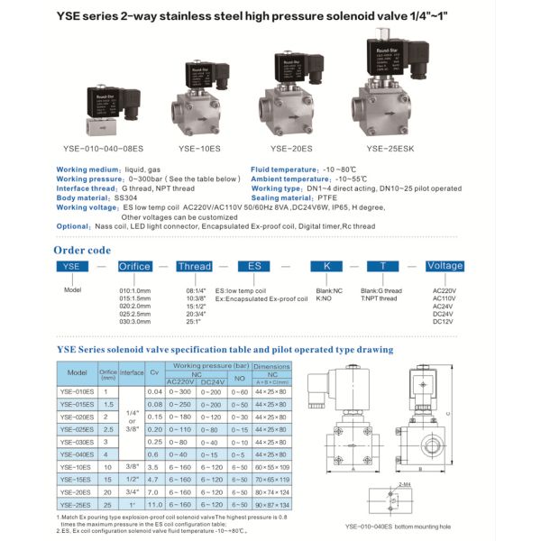 SS304 High Pressure Solenoid Valve with Nass Coil 1.6MPA G1/4