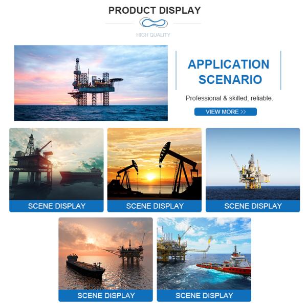 Газ и нефть SS316 R24 Металлическая кольцевая прокладка теплостойкая