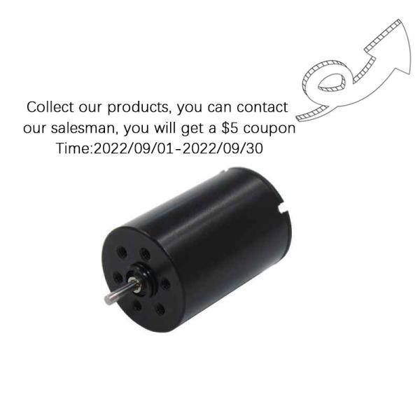 Faradyi Custom Professional Manufacturer 17*25Mmm 20000rpm 8V 12V DC Brushed Coreless Motor With Encoder For Jet Ski