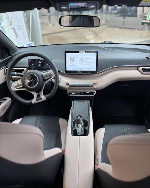 Small Build Your Dreams BYD Seagull 405KM EV Electric Vehicles Car for 5 People