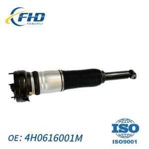 Audi Air Suspension