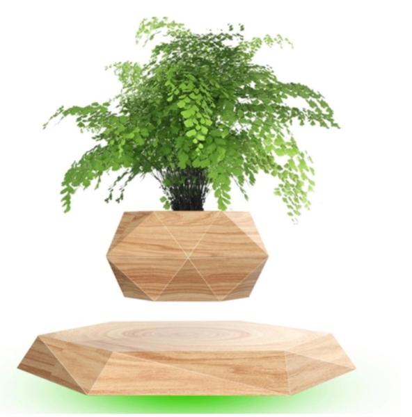 Flower pot Magnetic Levitating Plant pot Air Bonsai Levitating Bonsai Floating Plant