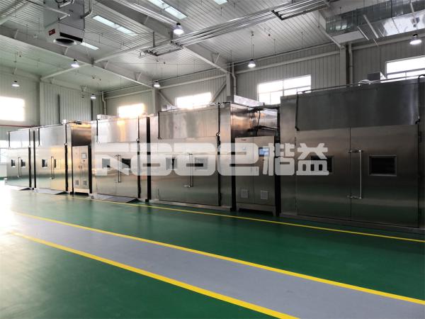 Industrial stainless steel conveyor belt type microwave dryer microwave drying machine for herbs leaves tea