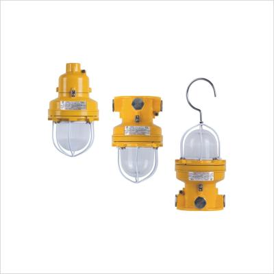 BDD81 Series Explosion Proof Led Lamp Ceiling Type Flame Proof For Zone 1 Zone 21