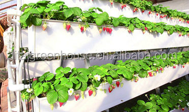 Настраиваемый размер покрытый пленкой птицефабрика теплица длина 30-100 м с пленкой