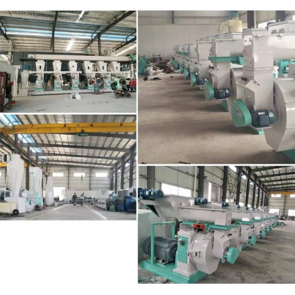 2-4 T / H Ring Die Feed Pellet Mill с одним кондиционером для производства кормовых пеллет