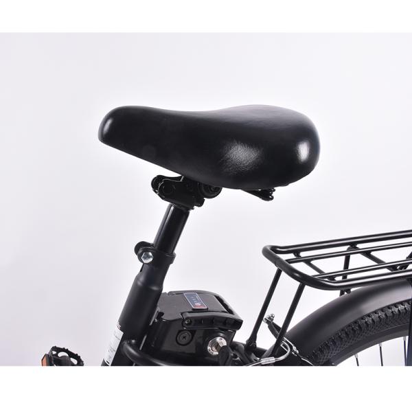 PAS Electric Cargo Bicycle 250W 36V With 10000mAh Lithium Battery