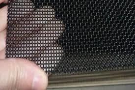 Mosquito / Fly / Insect Stainless Steel Insect Screen Mesh For Door / Window