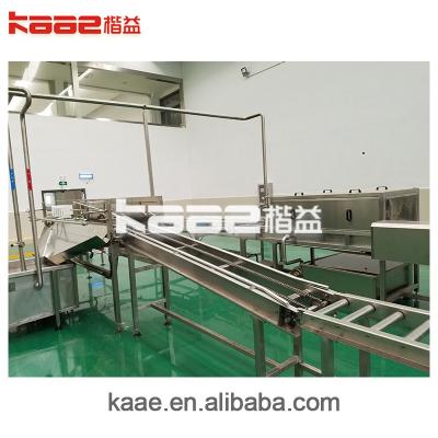 Turnkey Raspberry Fruits Concentrated Clear Juice Processing Line