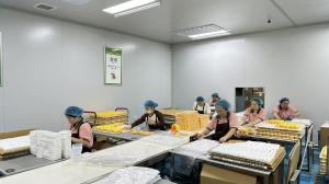 Henan Betterly  Sanitary Materials Co., Ltd.