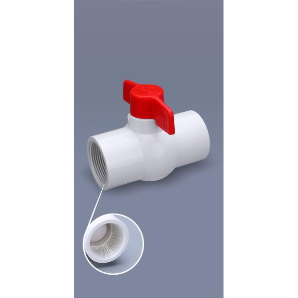 Reducing Hexagon Head Code PP IBC Tank Fitting Adapter S60x1 for Industrial Applications
