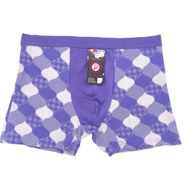 Men Boxers Briefs Wholesale Fashionable New Arrival 12pcs/pack Men Briefs 4XL 5XL 6XL Mix Sizes Briefs for Men