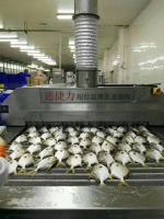 Congelador industrial negativo 70kw 800kg/H de Adeep da temperatura ultra baixa de congelador de explosão 86c