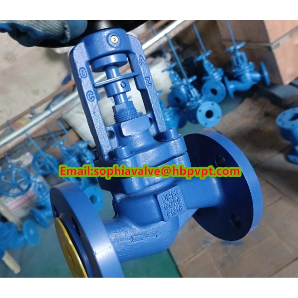 DIN bellows flanged cast iron globe valve