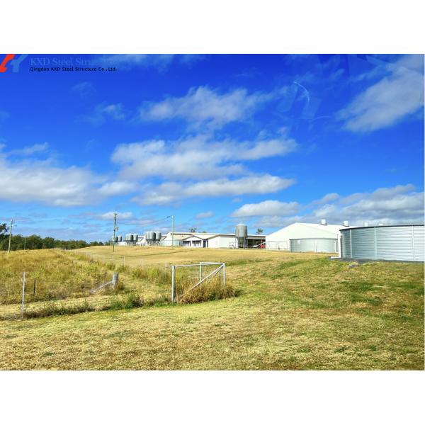 Insulation Fireproof Piggery Shed Poultry Farm Shed Building