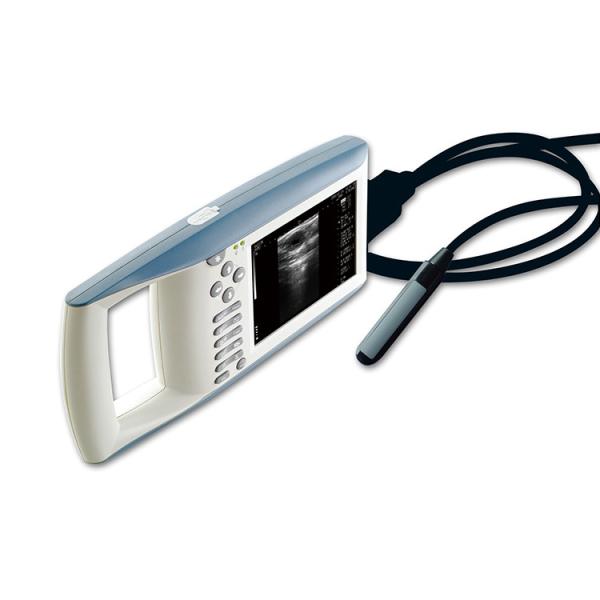 B Mode Medical Ultrasound Machine Diagnostic KX5100 VET Veterinary  Instruments