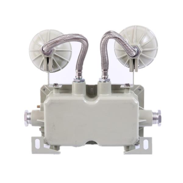 Outdoor Explosion Proof Emergency Lights IP66 36 Vac 2*5W Emergency Lamps Rechargable Led