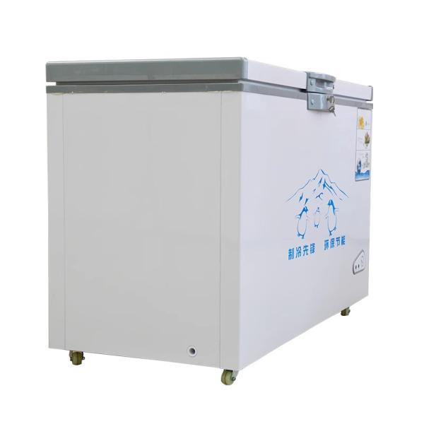 Medicine Storage Freezer Deep Chest Upright Fridge -25 degrees Celsius Freezer