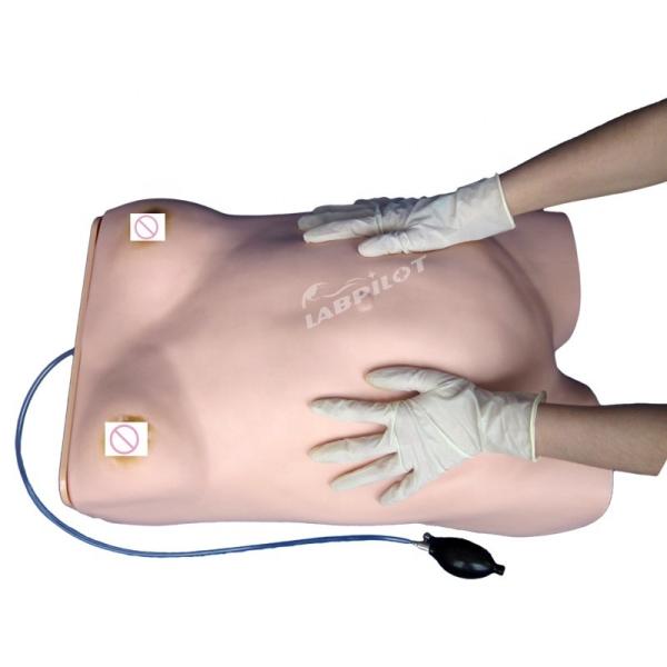 Basic Maternity Examination Manikin for Pregnant Women Examination in Medical Science