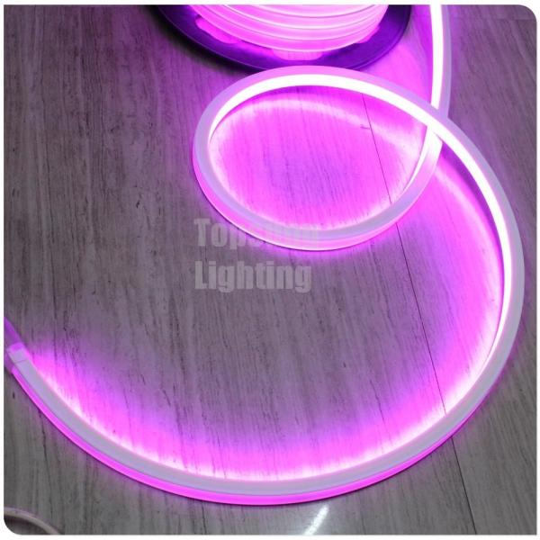 2016 new pink square 12v 16*16m LED neon flex light for room
