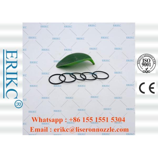 Diesel Injector Parts Pressure Washer Hose O Ring Seal E1024011
