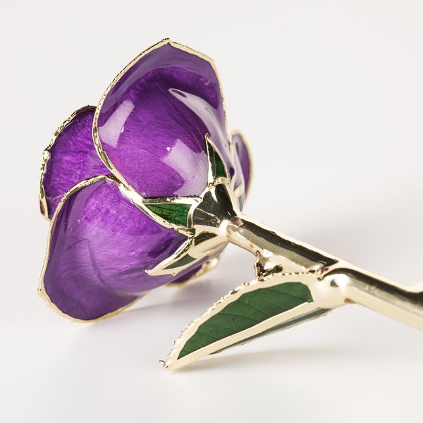 24k Gold Trimmed Rose  Preserved Fresh Flower  Resin Preservation Eternal Rose Mother's Day Valentine's Day Christmas Gif