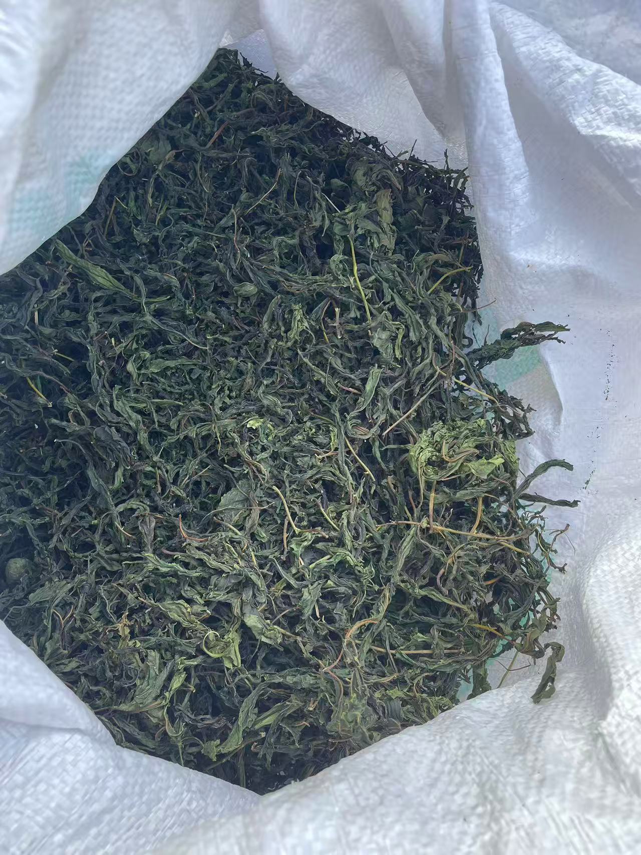 Natural Sweeteners Sweet Tea Extract Chinese Sweet Leaf Tea Plant Extract with 0 Calories