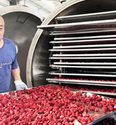 Промышленность пищевых напитков Вакуумные морозильные сушильные машины для фруктов овощей морепродукты