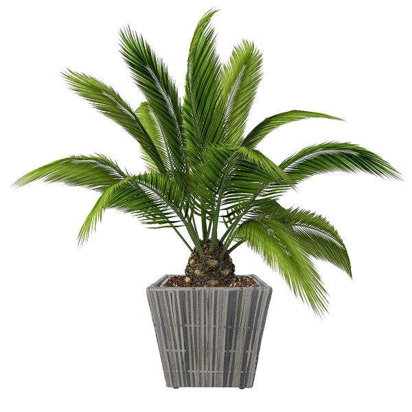Handmade Square Shape Metal Frame Wicker Flower Pot with Plastic Original Green OEM Customized Style
