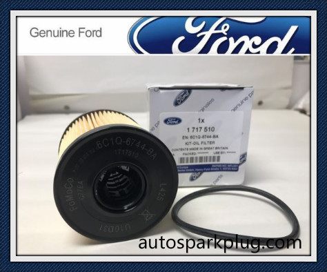 OEM: 1717510 Auto Spare Parts Engine Oil Filter for Ford Transit