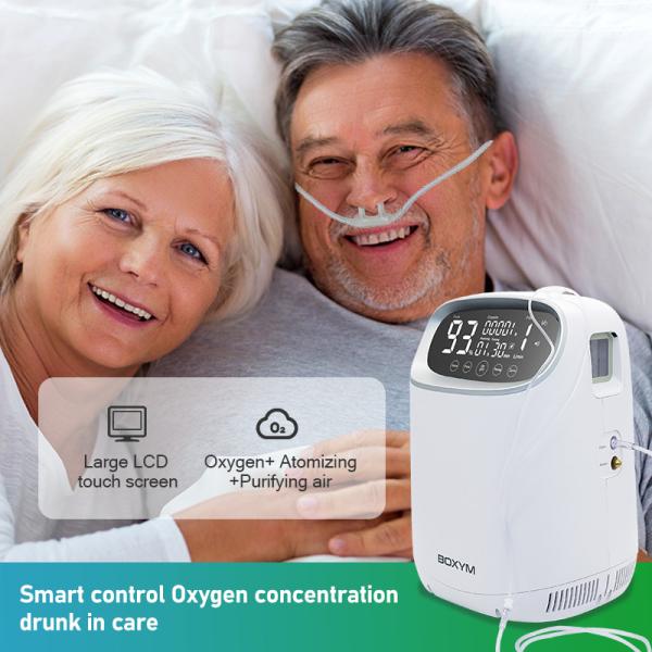 машина кислорода концентратора PSE 3Ltr кислорода 296*250*386mm медицинская мини